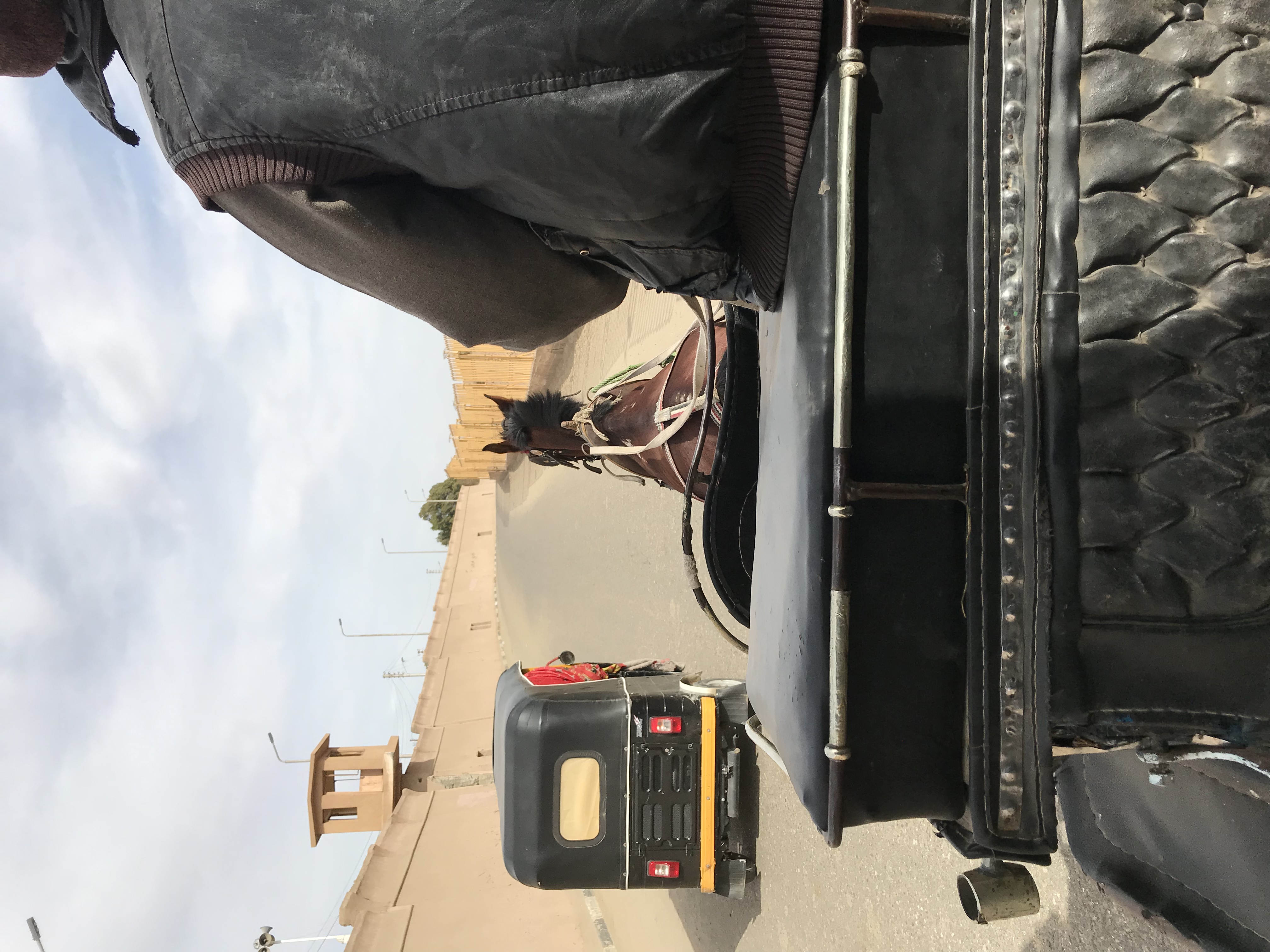 ./2018/16 - Egypt/11 - Edfu/IMG_4147.jpg